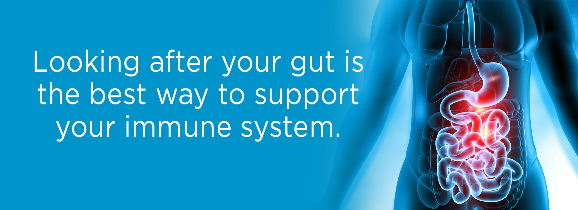 New Image International:Looking after your gut is the best way to support your immune system