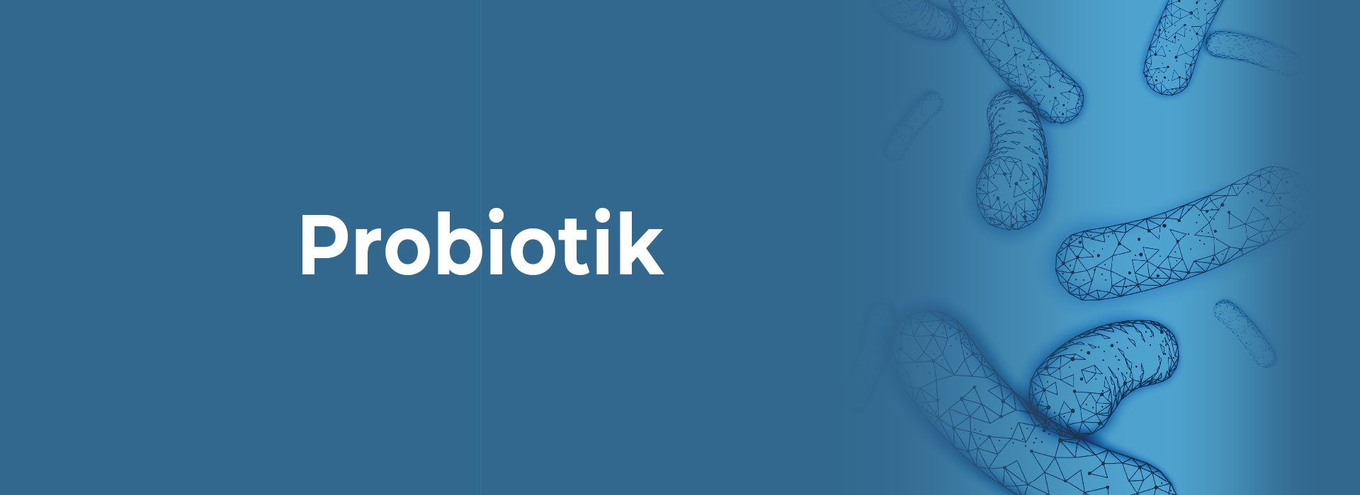 New Image International:Probiotik