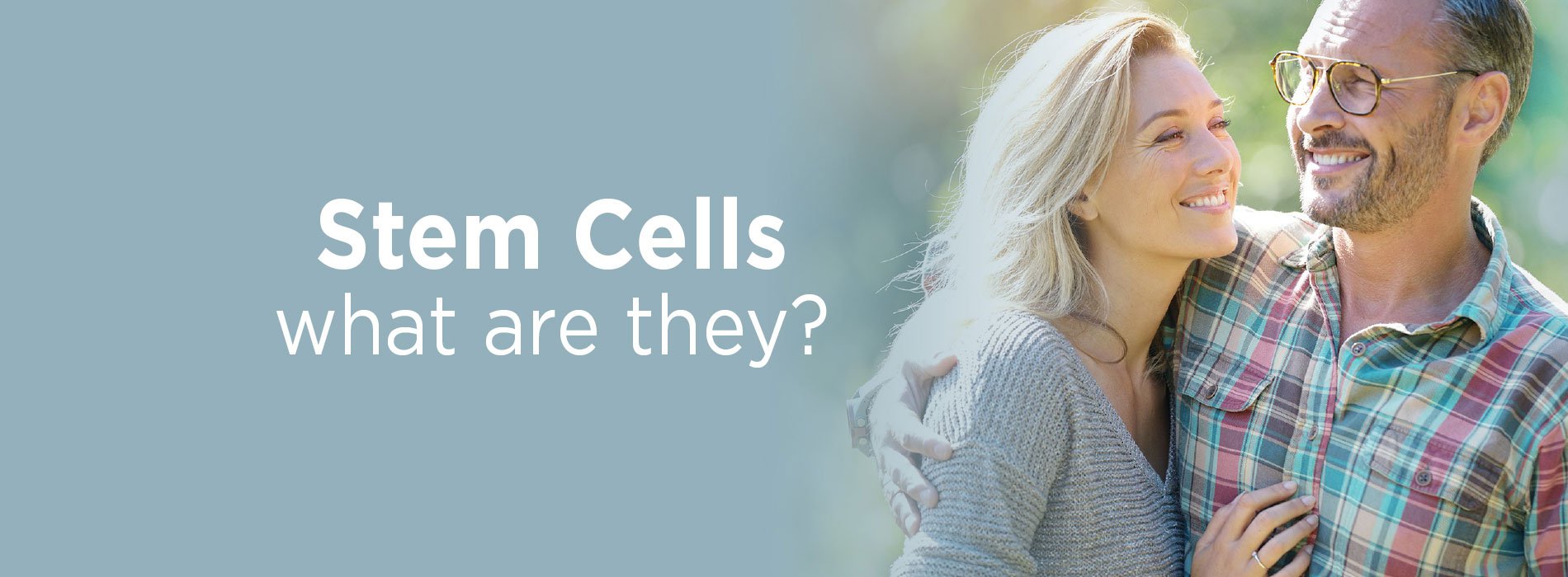 New Image International:What are Stem Cells?