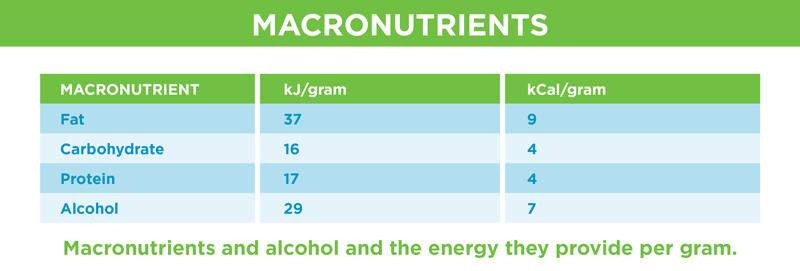 macronutrients energy chart