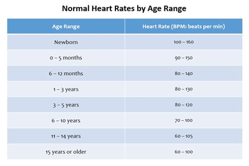 Rate normal by age heart Heart rate: